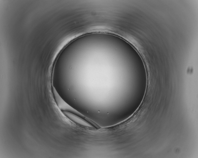 X0000097631392200803071522