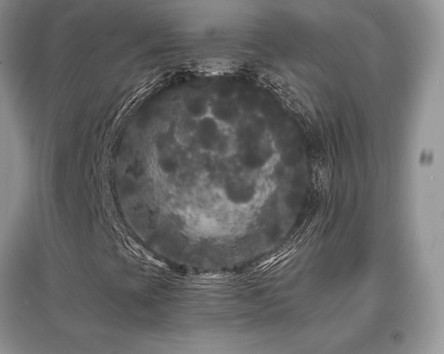 X0000097631393200803071521