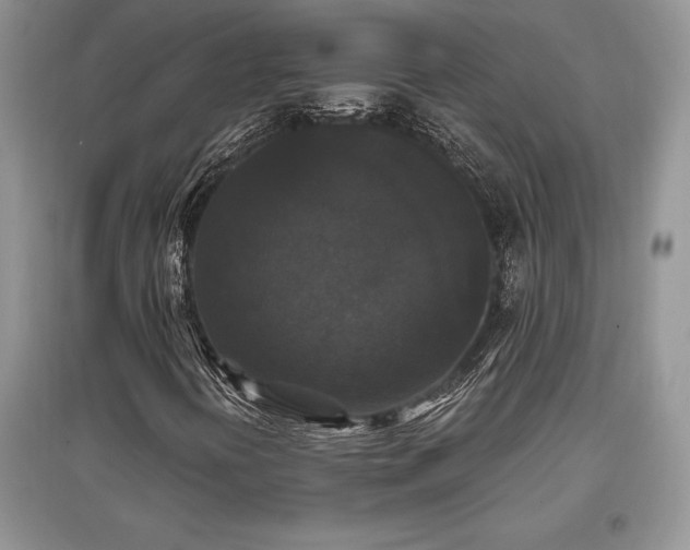 X0000097631394200803071521