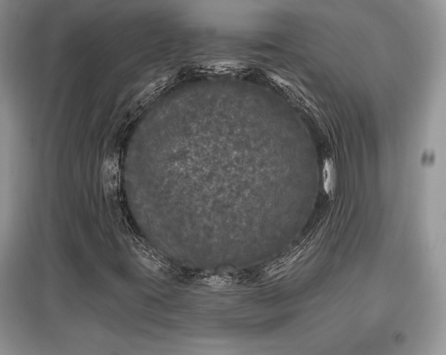 X0000097631395200803071521