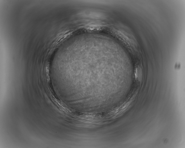 X0000097631396200803071521