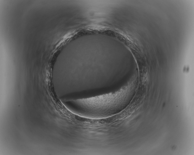 X0000097631397200803071521