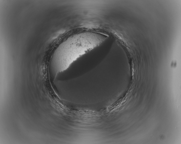 X0000097631398200803071521