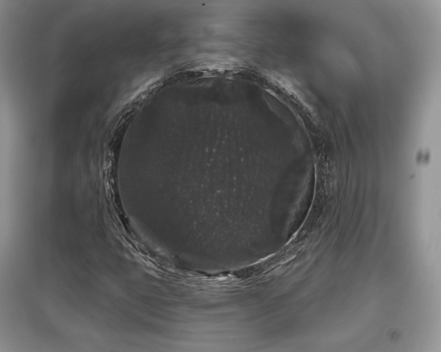 X0000097631399200803071521