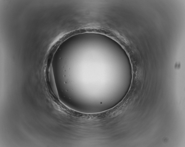 X0000097631400200803071521