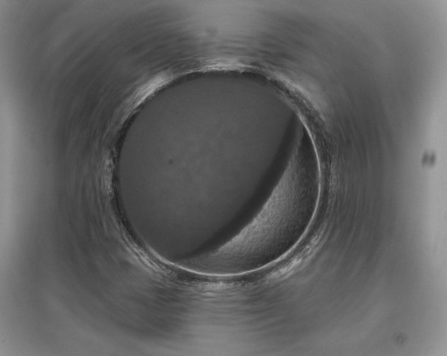 X0000097631401200803071521