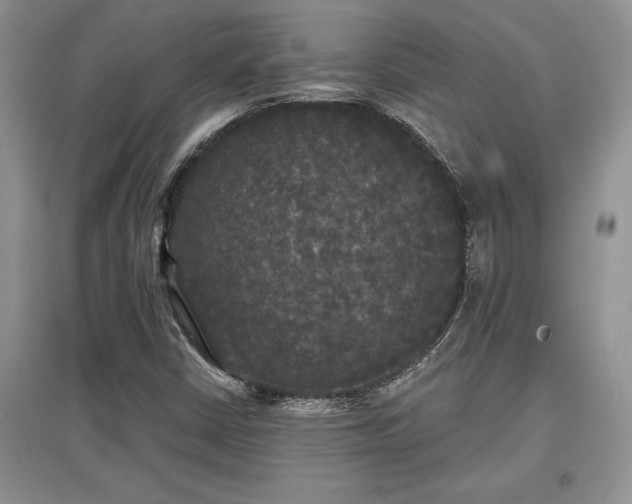 X0000097631402200803071521