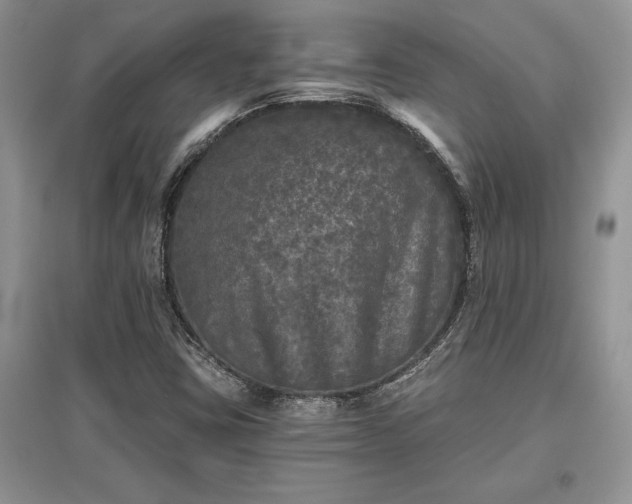 X0000097631403200803071521