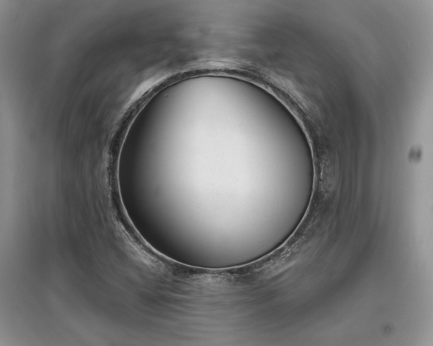 X0000097631404200803071521