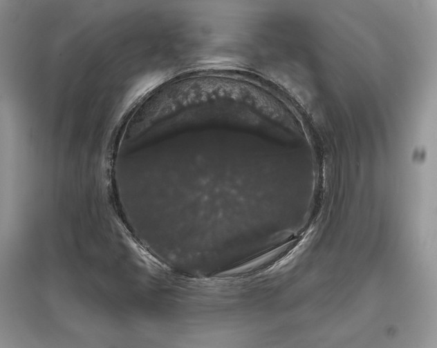 X0000097631405200803071521