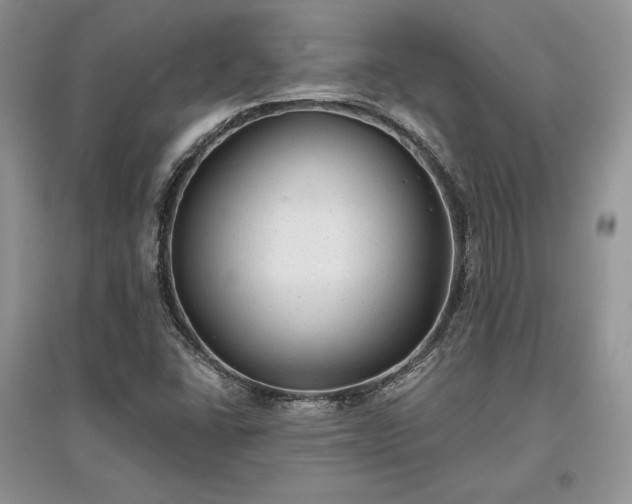 X0000097631406200803071521