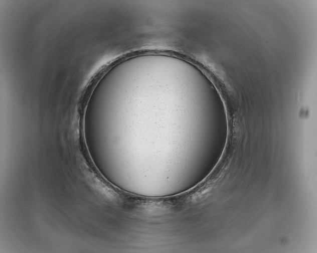 X0000097631408200803071521