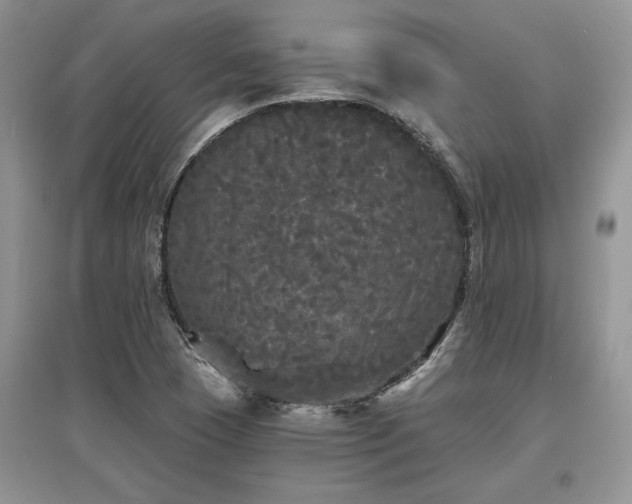 X0000097631409200803071521