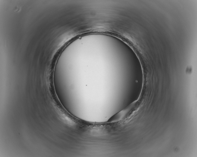 X0000097631410200803071521