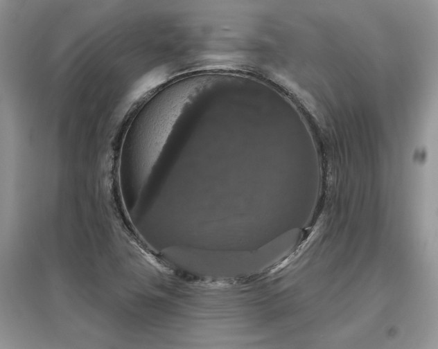 X0000097631411200803071521