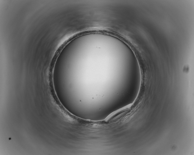 X0000097631412200803071521