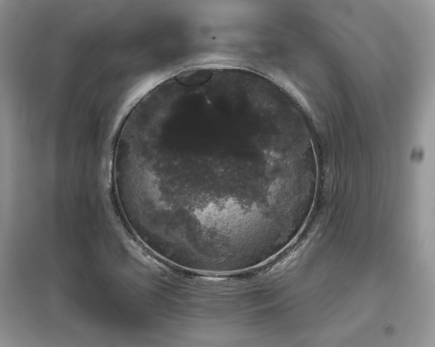 X0000097631413200803071521