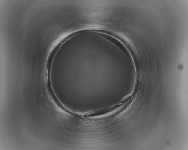 X0000097631414200803071521