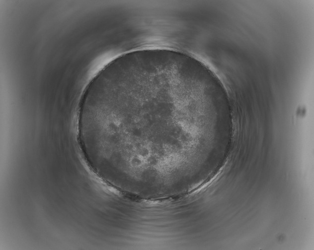 X0000097631415200803071521