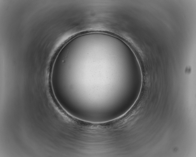 X0000097631416200803071521