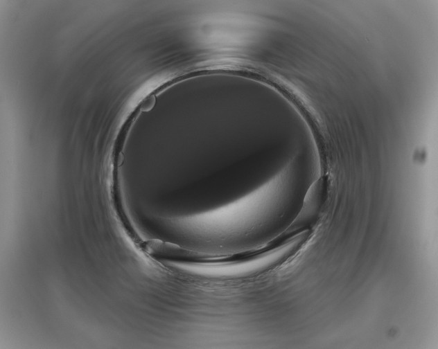 X0000097631418200803071521