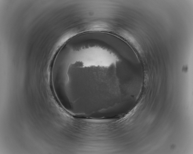 X0000097631419200803071521