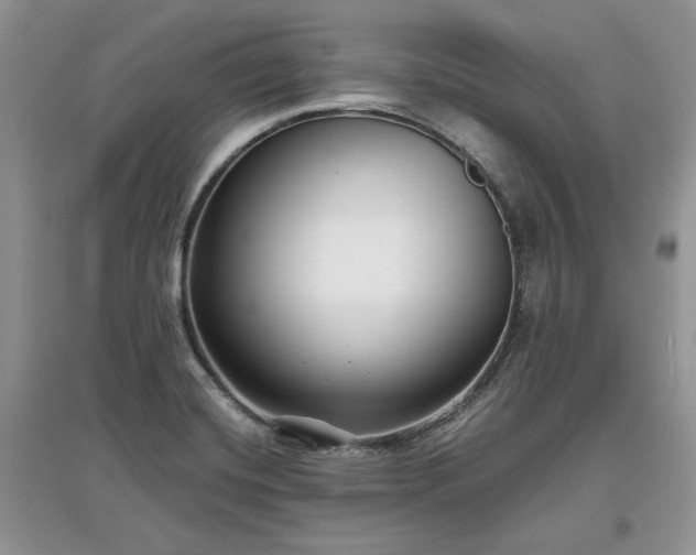 X0000097631420200803071522