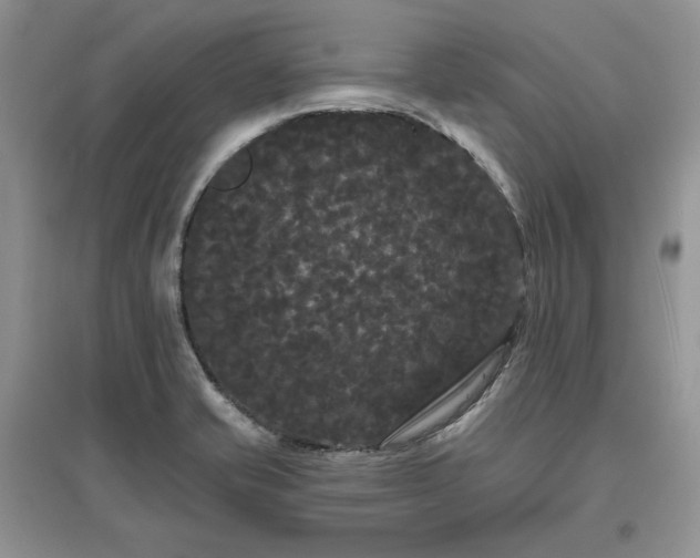 X0000097631421200803071522