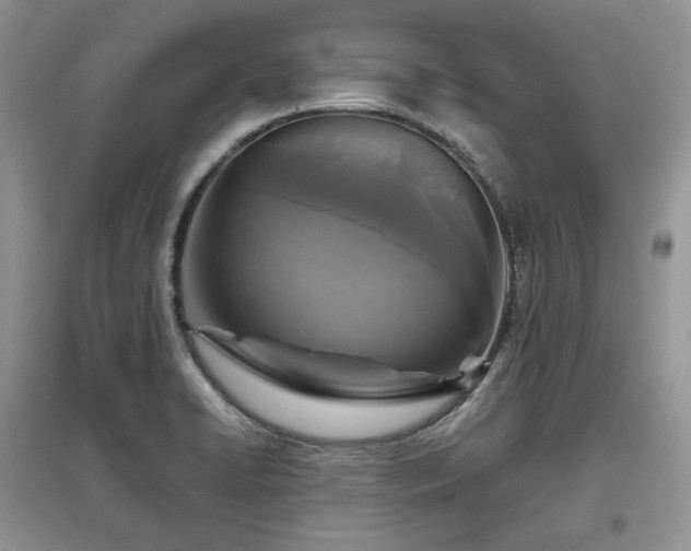 X0000097631422200803071522