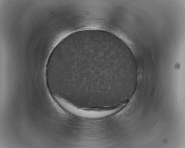 X0000097631423200803071522