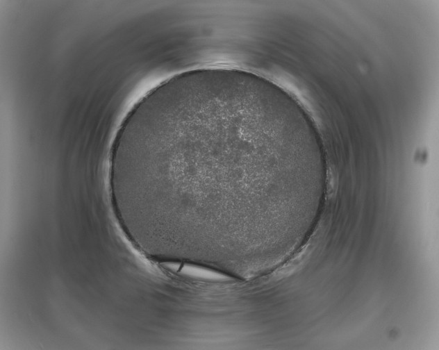 X0000097631424200803071522