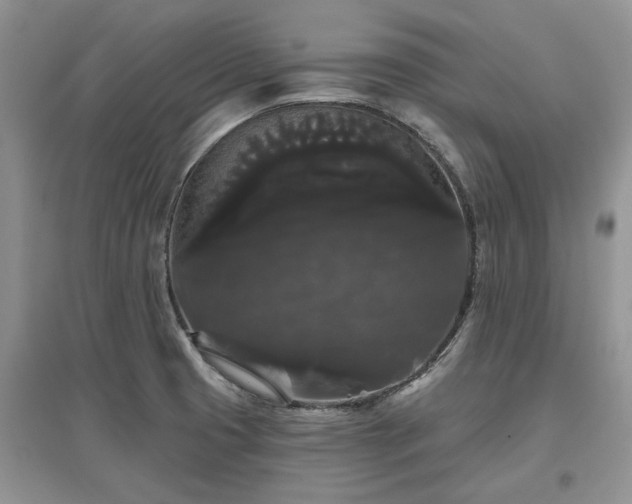 X0000097631425200803071522