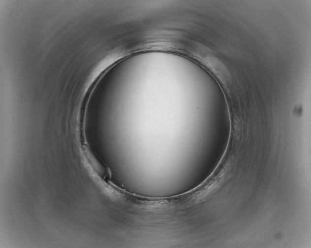 X0000097631426200803071522