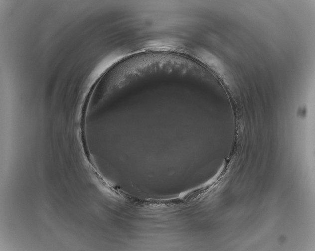 X0000097631427200803071522