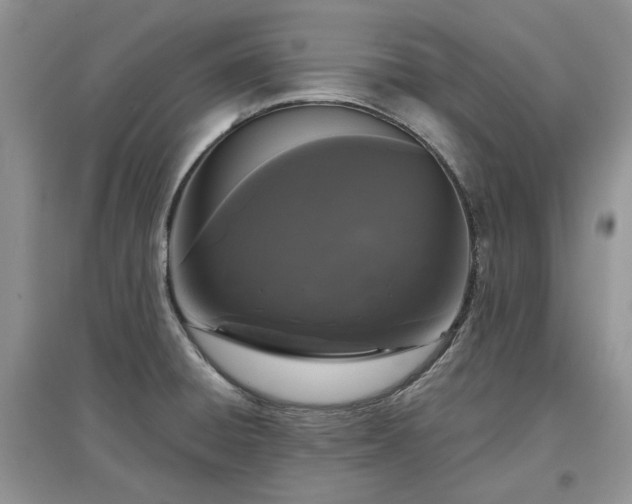 X0000097631428200803071522