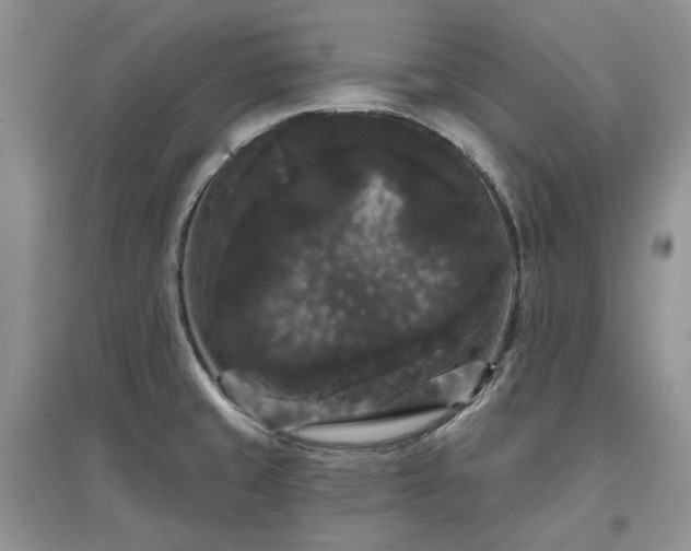 X0000097631429200803071522