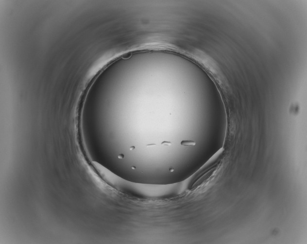 X0000097631430200803071522