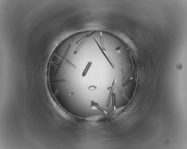 X0000097631431200803071522