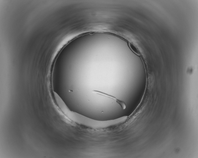 X0000097631432200803071522