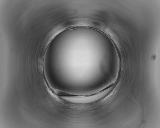 X0000097631433200803071522