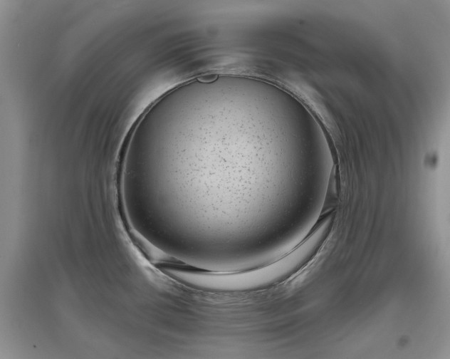 X0000097631434200803071522