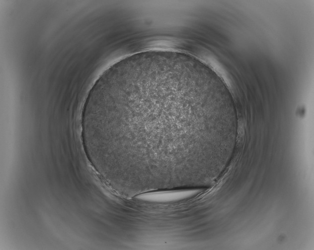 X0000097631435200803071522