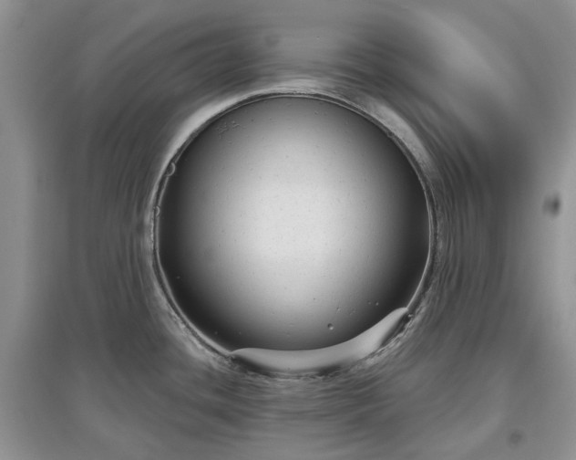 X0000097631436200803071522