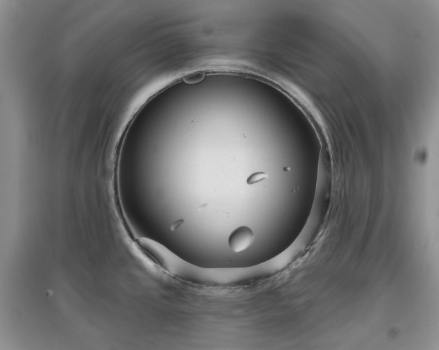 X0000097631437200803071522