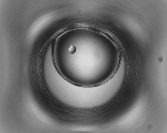 X0000097631438200803071522