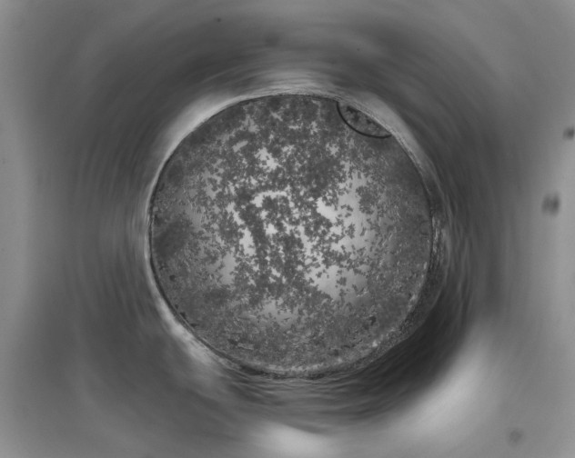 X0000097631439200803071522