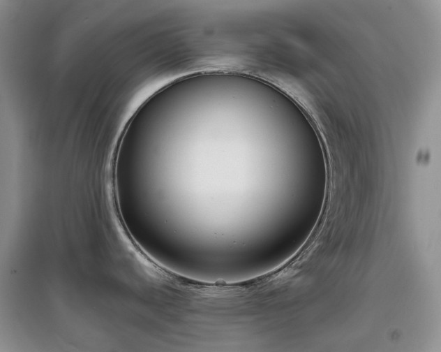 X0000097631440200803071522