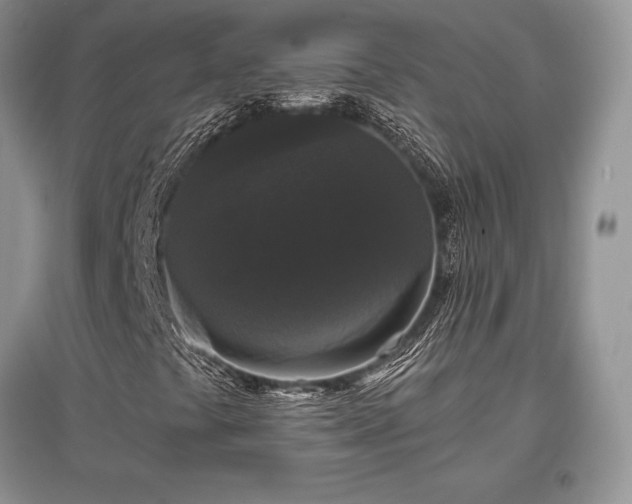 X0000097631441200803071521