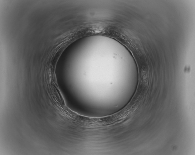 X0000097631442200803071521