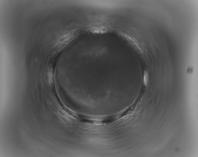 X0000097631444200803071521